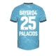Camisola Futebol Bayer 04 Leverkusen Palacios #25 2023-24 Terceiro Equipamento Homem