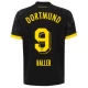 Camisola Futebol BVB Borussia Dortmund 2023-24 Haller #9 Alternativa Equipamento Homem