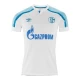 Camisola Futebol FC Schalke 04 2021-22 Alternativa Equipamento Homem