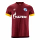 Camisola Futebol FC Schalke 04 2021-22 Terceiro Equipamento Homem