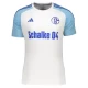 Camisola Futebol FC Schalke 04 2023-24 Alternativa Equipamento Homem