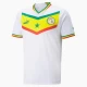 Camisola Futebol Senegal Copa do Mundo 2022 Principal Homem Equipamento